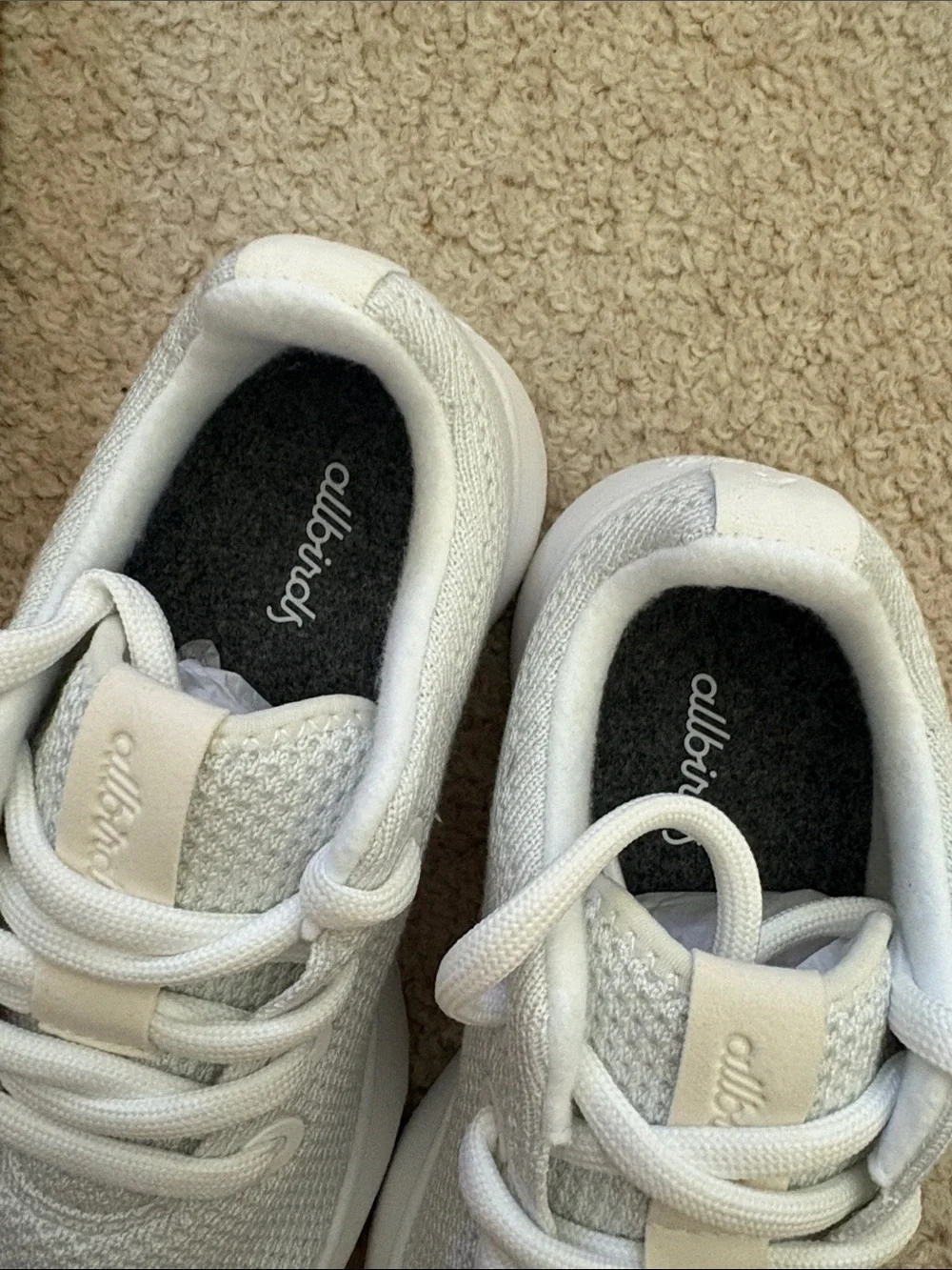 allbirds womens blizzard Knit Sneakers